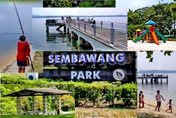 Sembawang Straits Estate (D27), Semi-Detached #119686062